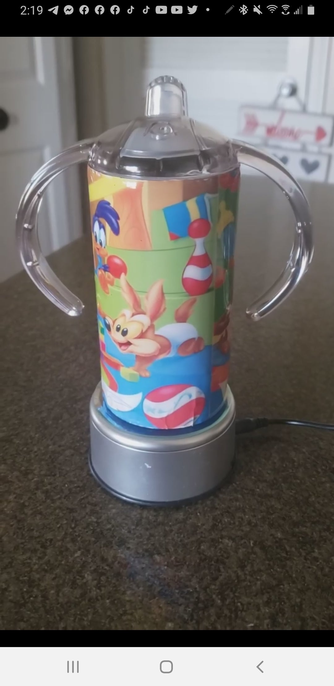 Stainless Steel Sippy Cup